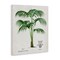 Stupell Industries Natural Palm Study Canvas, design by Val Rhodes